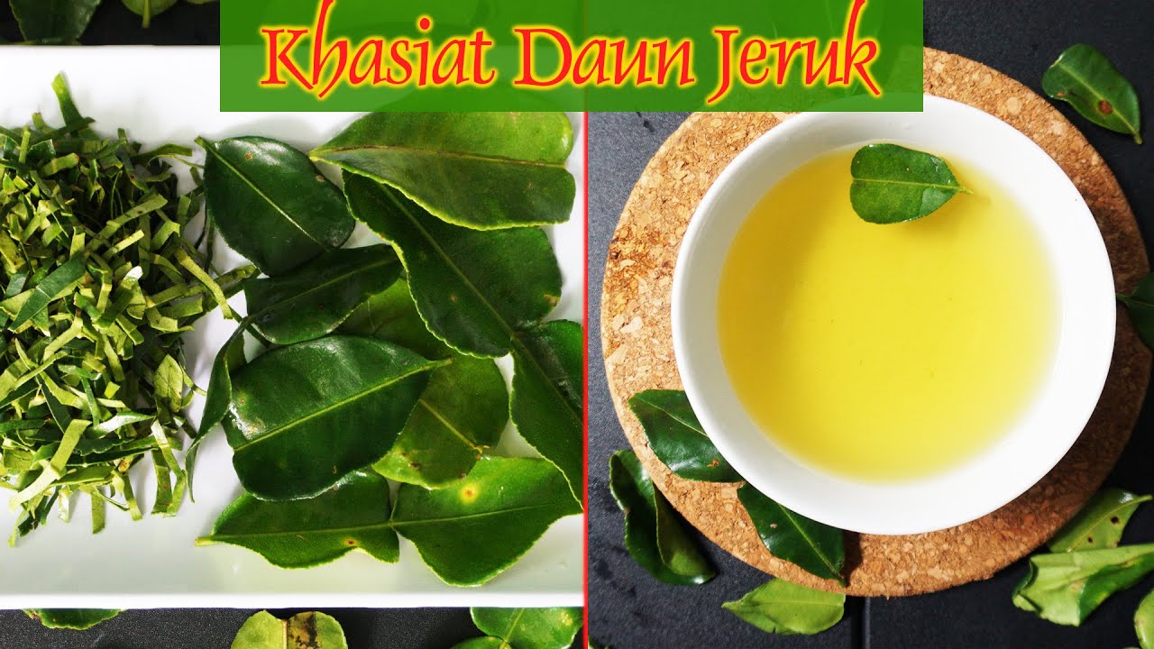 DAUN JERUK, Berikut 7 Manfaatnya untuk Kesehatan