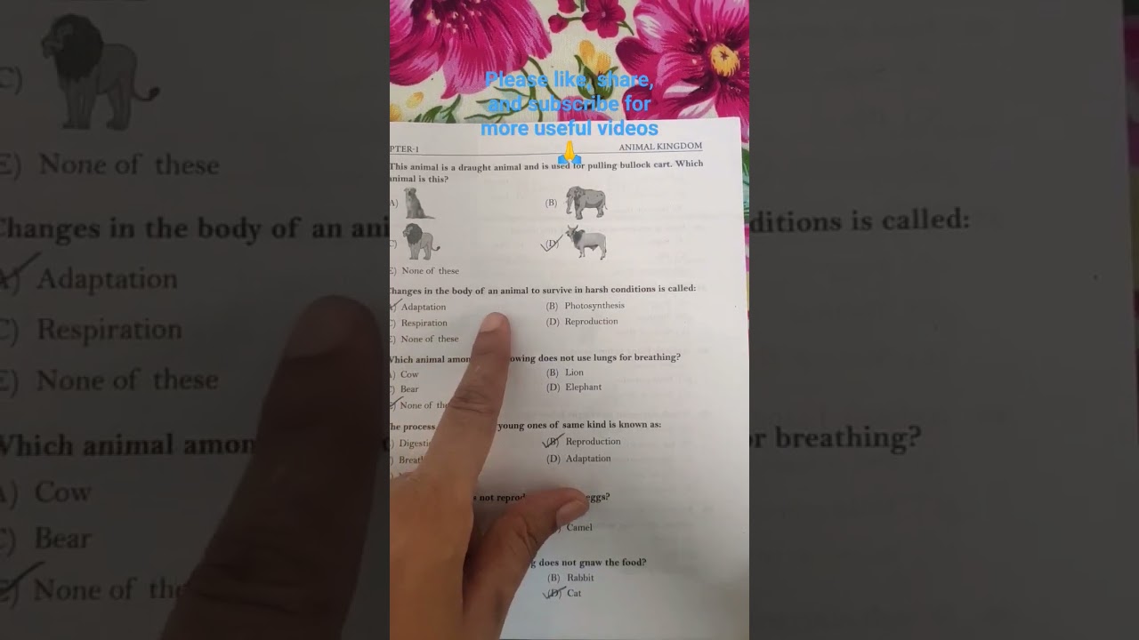 International olympiad of science | IOS of Class3 #shorts #ytshorts #olympiad #science #class3