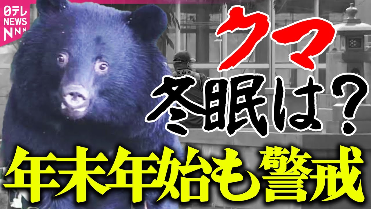 【真冬でもクマ注意】駆除は“一撃で”　駆除用銃弾の威力を検証/山林でハンター死亡 クマに襲われたか（日テレNEWS）