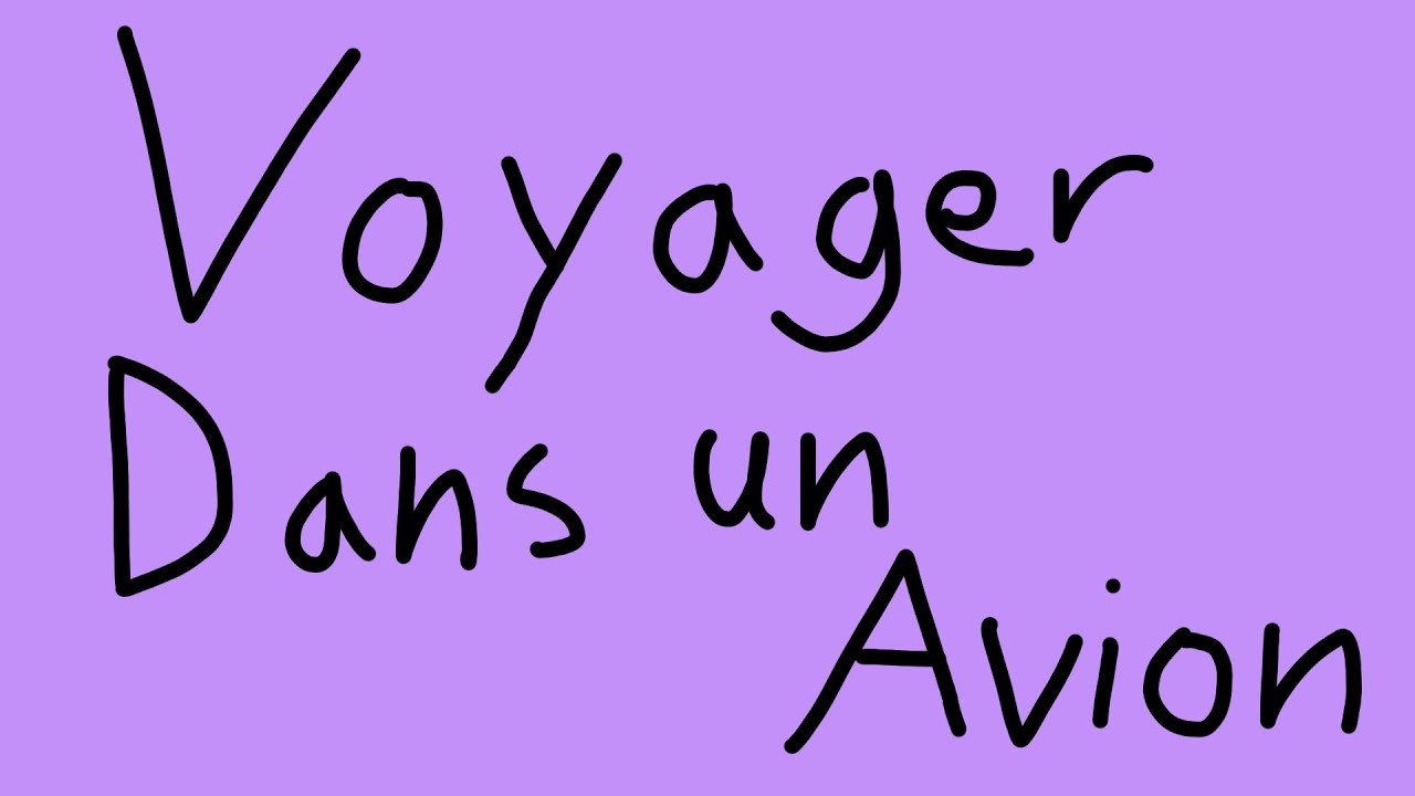 Voyager dans un Avion