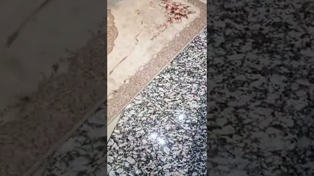 جوهرة التيجانية شيخة العمارية03