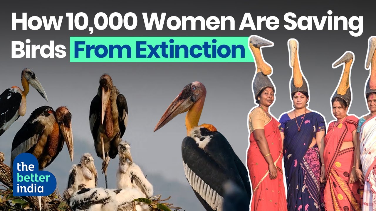 Purnima Barman’s ‘Hargila Army’ Is Saving Adjutant Stork From Extinction in Assam | The Better India