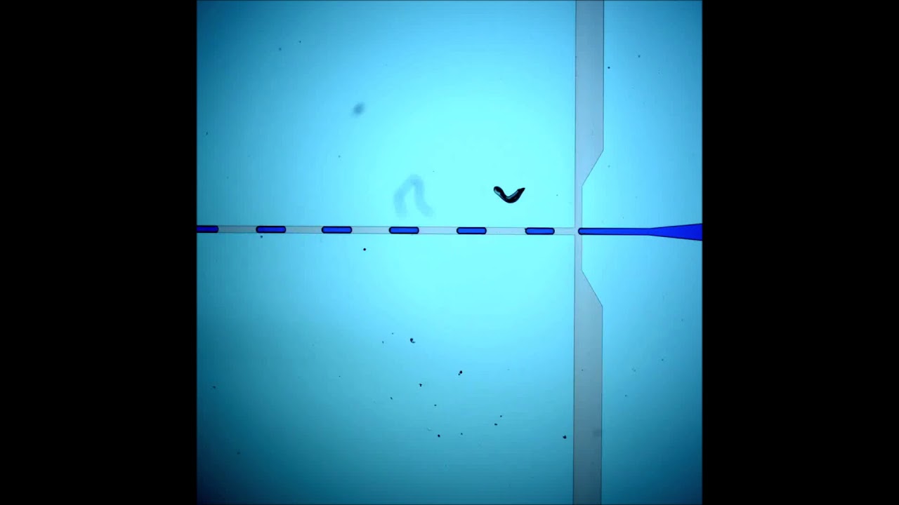 Passive microinjection within high-throughput microfluidics for controlled actuation of droplets