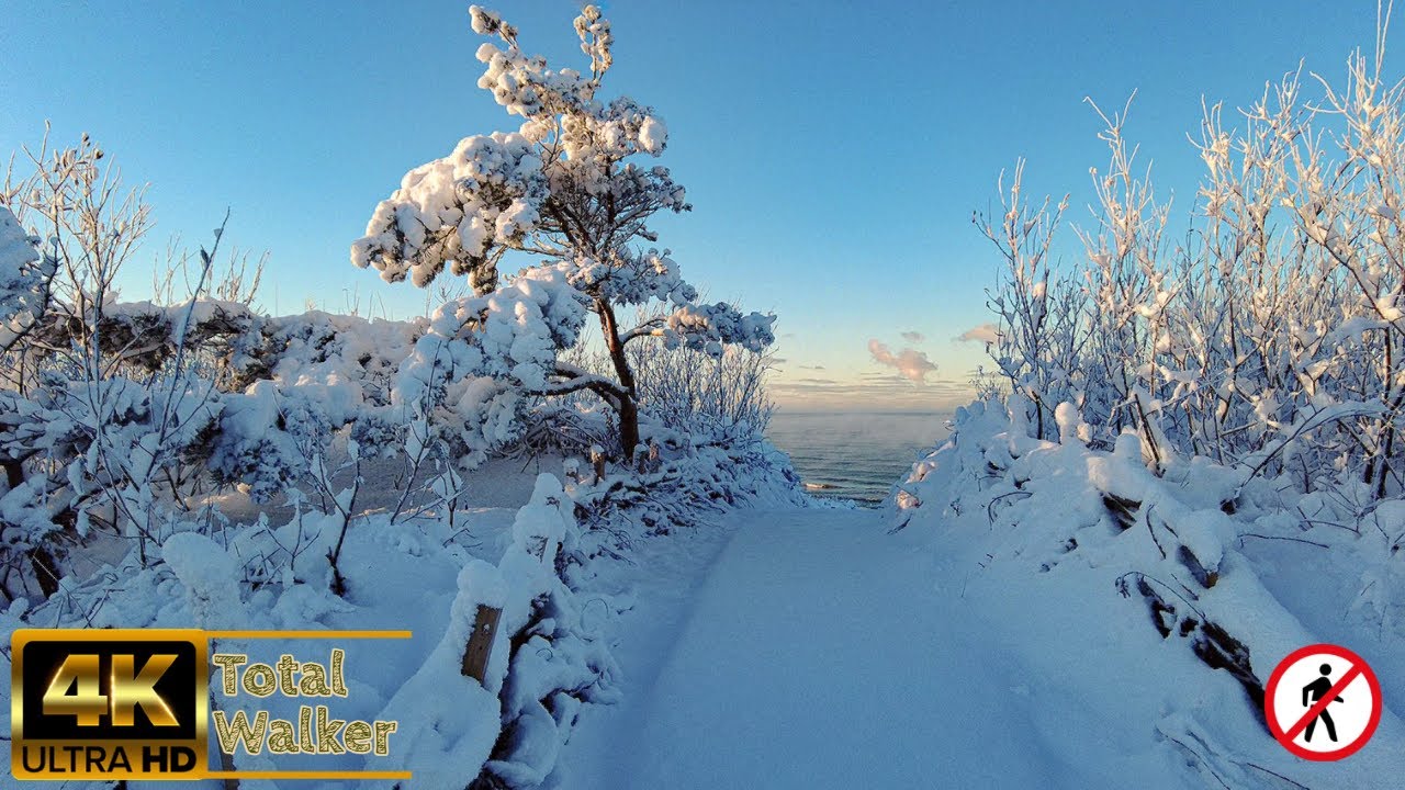 Baltic sea dunes after snow storm - Palanga winter 4K (60fps) Crunching Snow ASMR