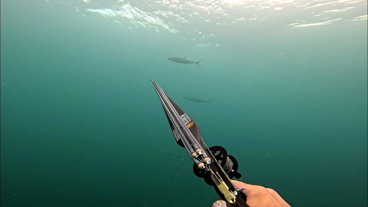 KING & CUDA😍 | UNANG PELAGIC NG TAONG 2026🙌 #spearfishingphilippines #viral #spearfishing #food 