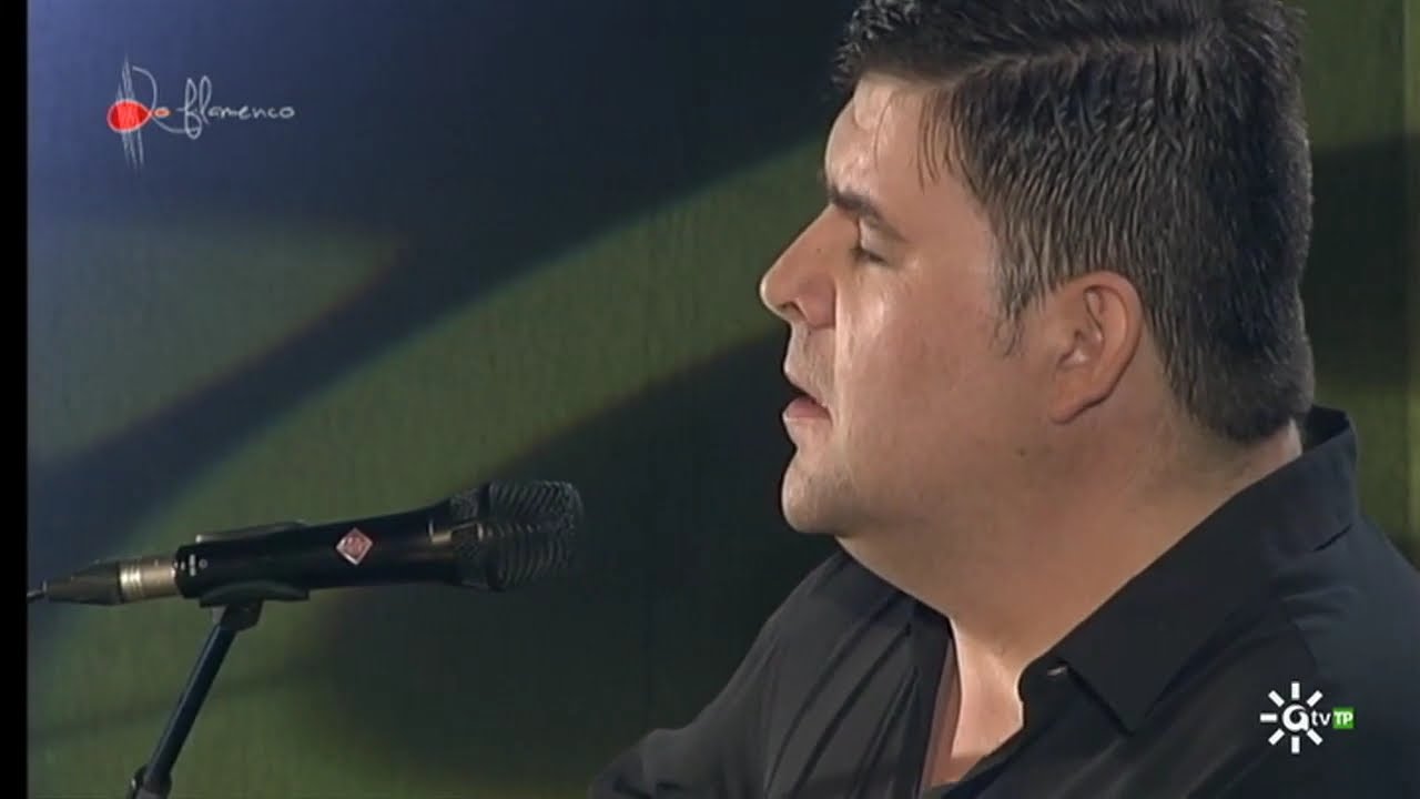 Malagueña. Ricardo Fernández del Moral. 2014