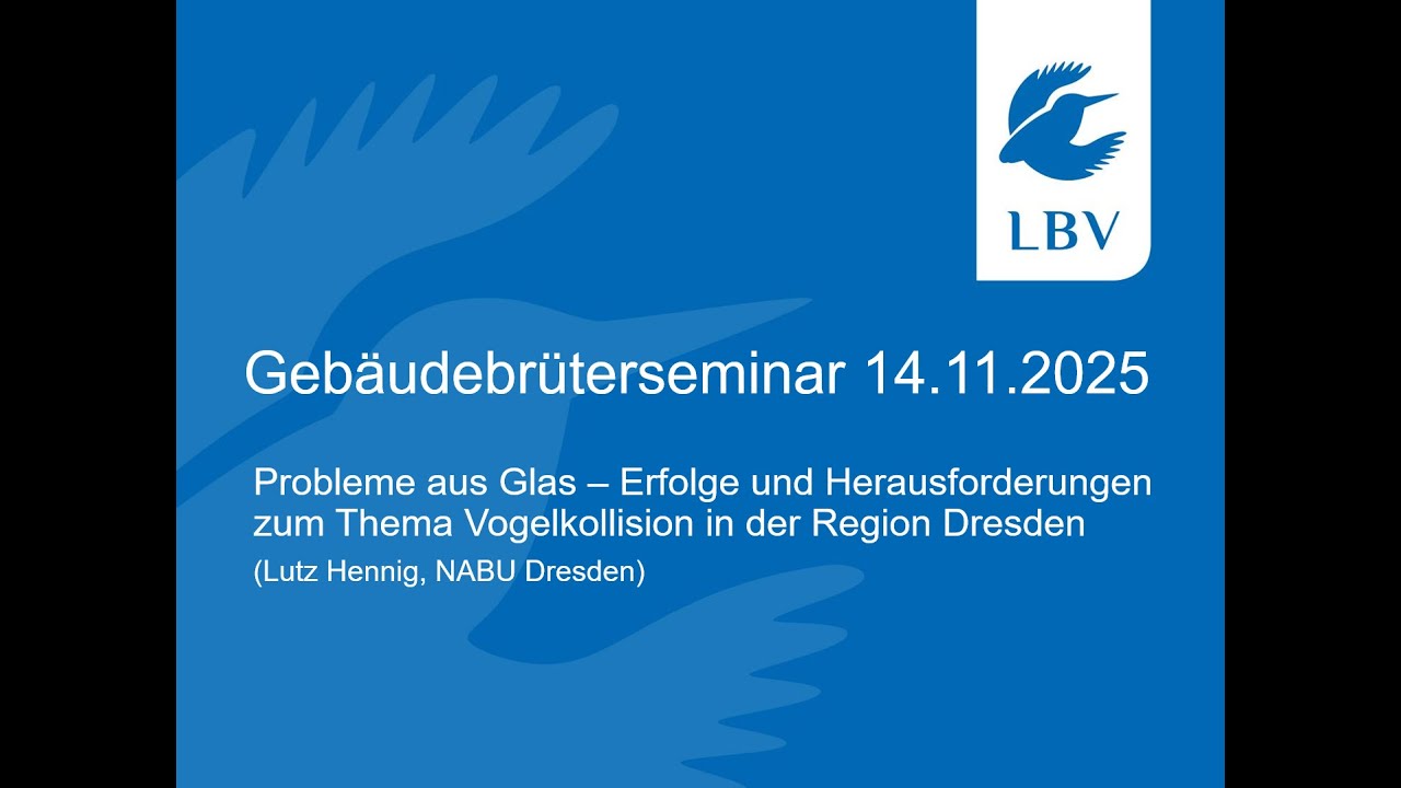 Probleme aus Glas – Erfolge und Herausforderungen zum Thema Vogelkollision in der Region Dresden