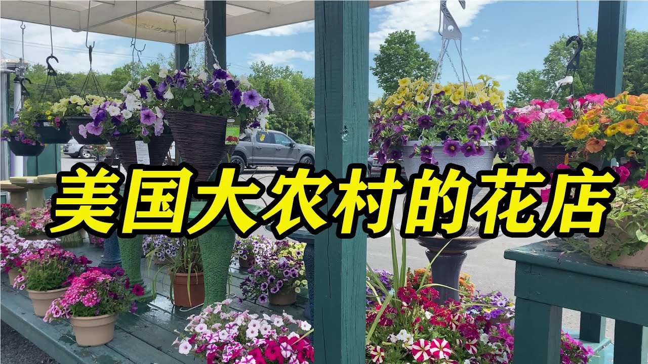 美国大农村的花店