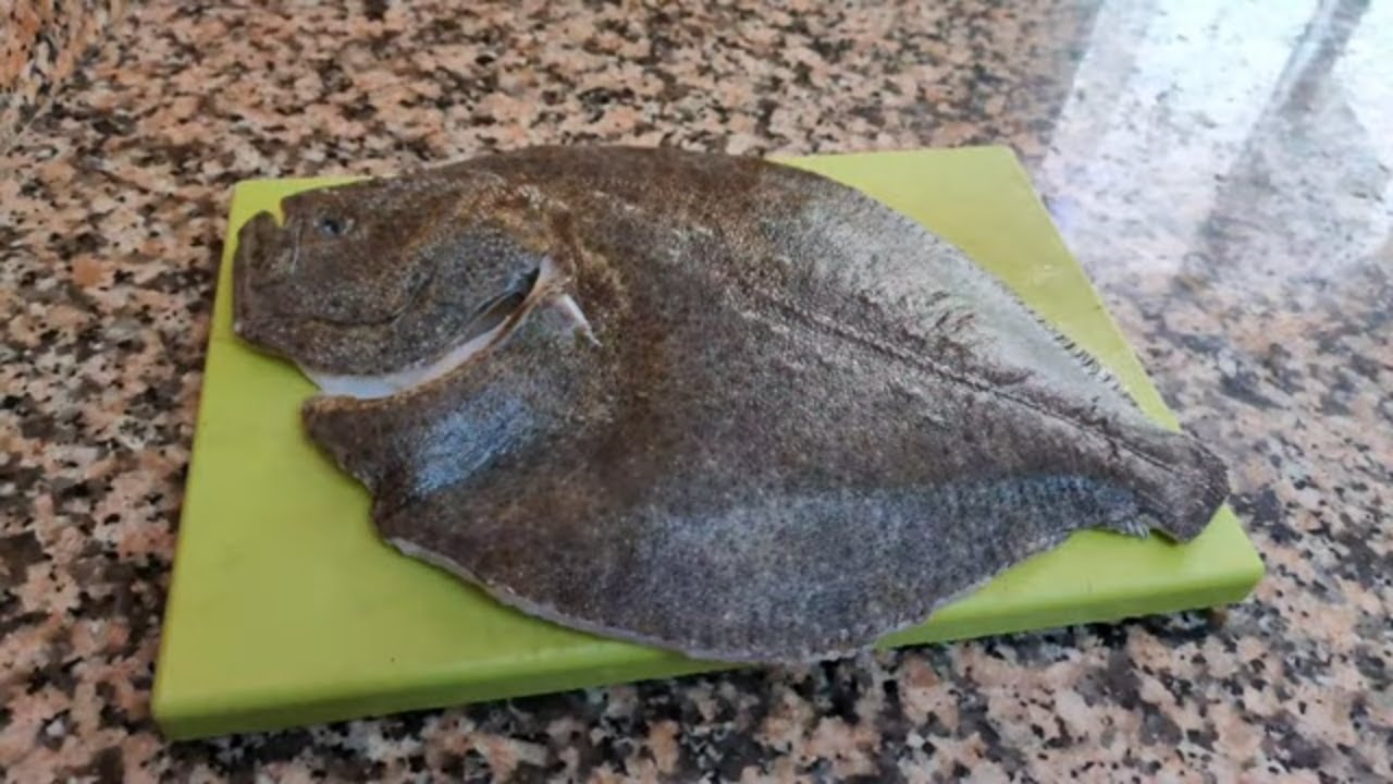 ✅PESCADO SIN ACEITE✅AIRFREYER✅RODABALLO EN FREIDORA DE AIRE✅como hacer pescado frito sin aceite