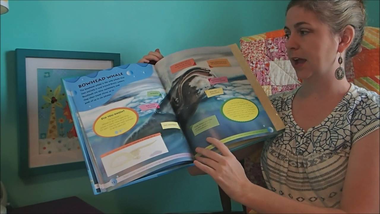 Build the Bones Whale - Usborne Books & More