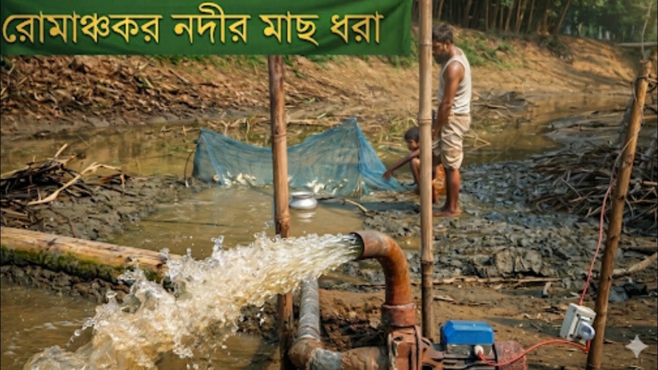 গ্রামে নদী সেঁচে মাছ ধরার বাস্তব দৃশ্য Real Scene of Draining a River to Catch Fish in the Village
