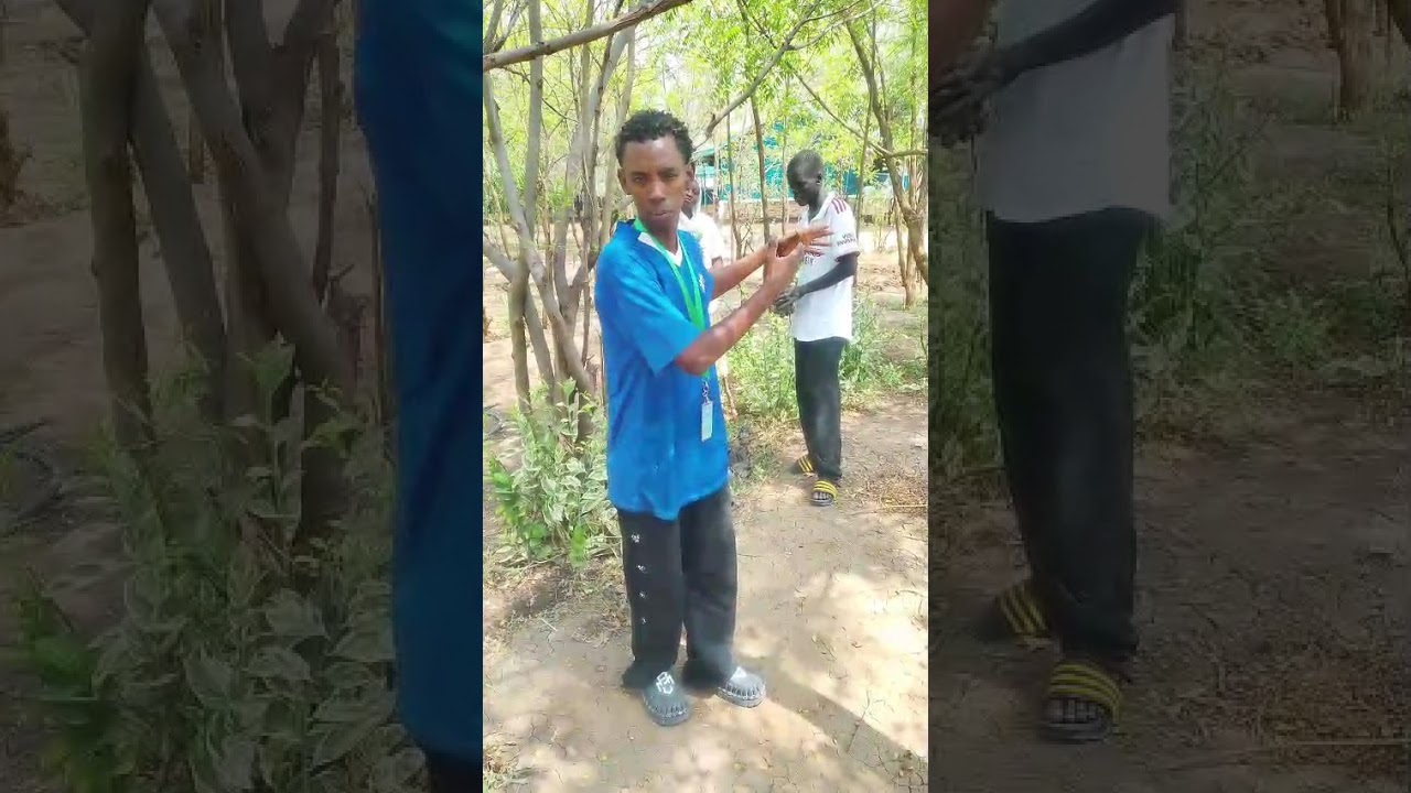 tree planting video 1