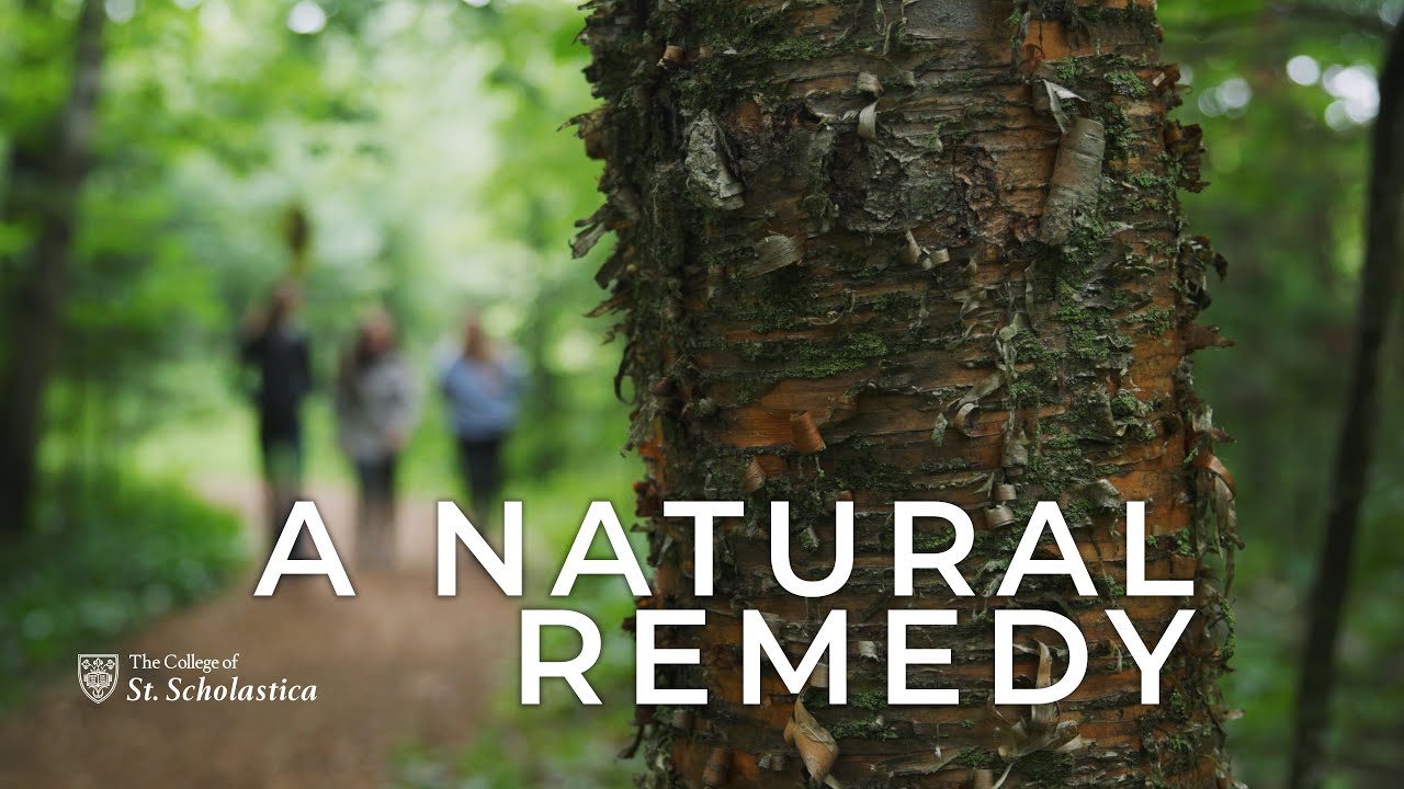 NatureRx: Nature's Prescription for Mental Health