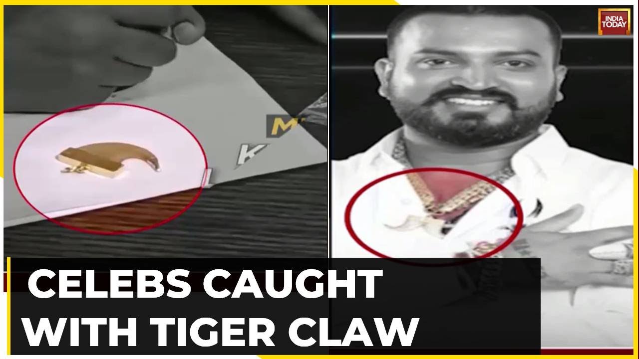 Kannada Actor Darshan's Bengaluru Home Raided Amid Row Over 'Tiger Claw' Pendant