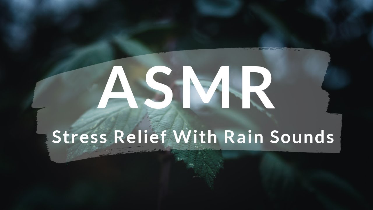 Gentle Bird Calls in Rainfall | Stress Relief ASMR