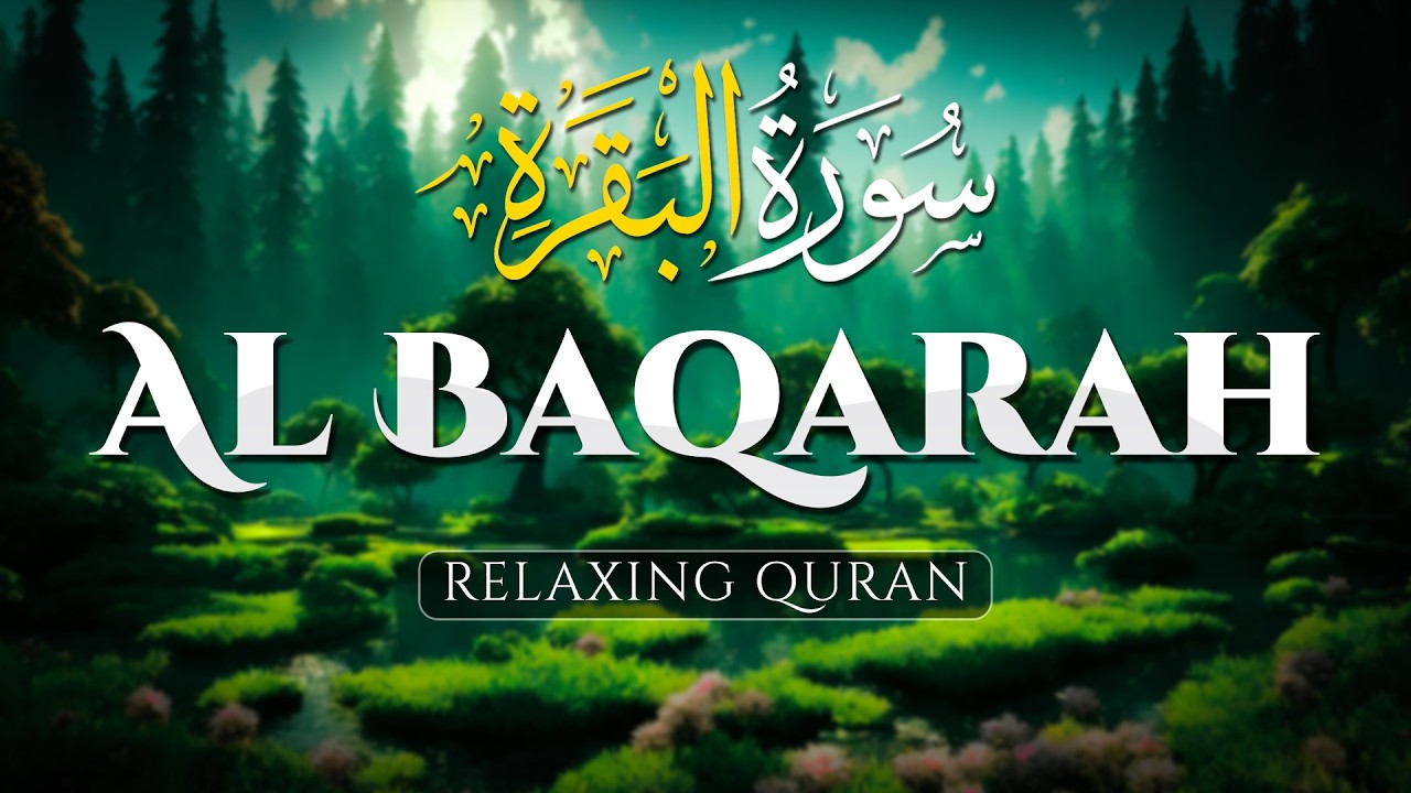 Surah Al Baqarah (سورة البقره), Best Relaxing Heart Touching Voice إن شاء الله - HUSSEIN ABDEL ZAHER