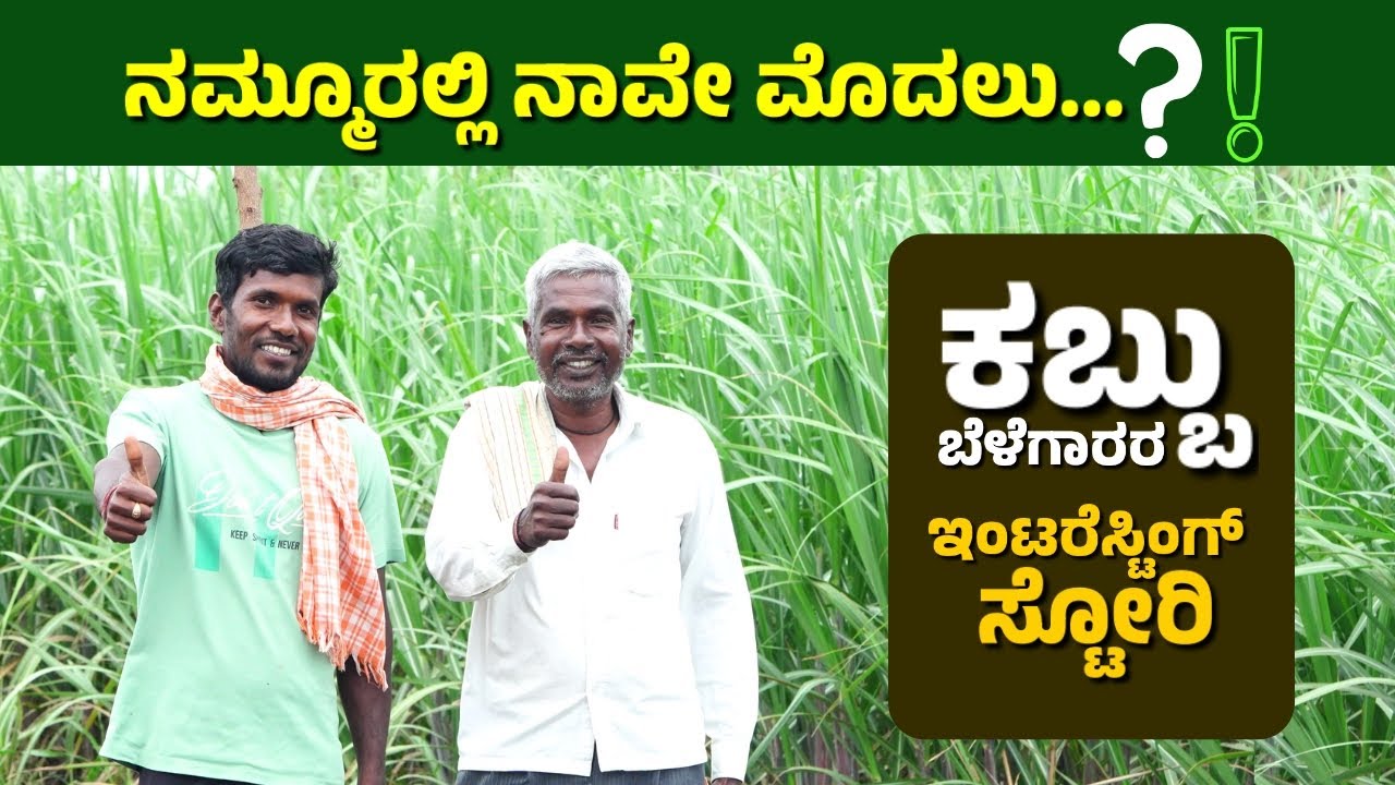 Sugarcane Cultivation: Farmers Success Formula | ಕಬ್ಬು ಬೆಳೆಗಾರರ ಇಂಟರೆಸ್ಟಿಂಗ್ ಸ್ಟೋರಿ | IIPL