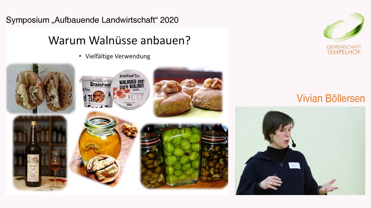Vivian Böllersen || Walnussbäume auf dem Acker // Symposium 
