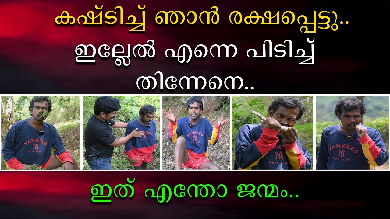 കഷ്ടിച്ച് ഞാൻ രക്ഷപെട്ടു | ഇല്ലേൽ എന്നെ പിടിച്ചു തിന്നേനെ | ഇത് എന്തോ ജന്മം