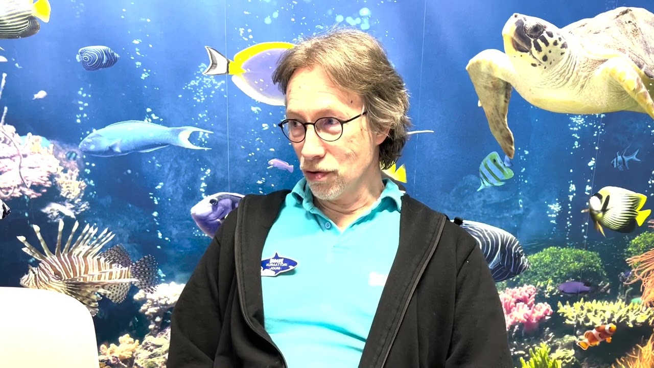 Pääsiäistiput Sea Lifessa