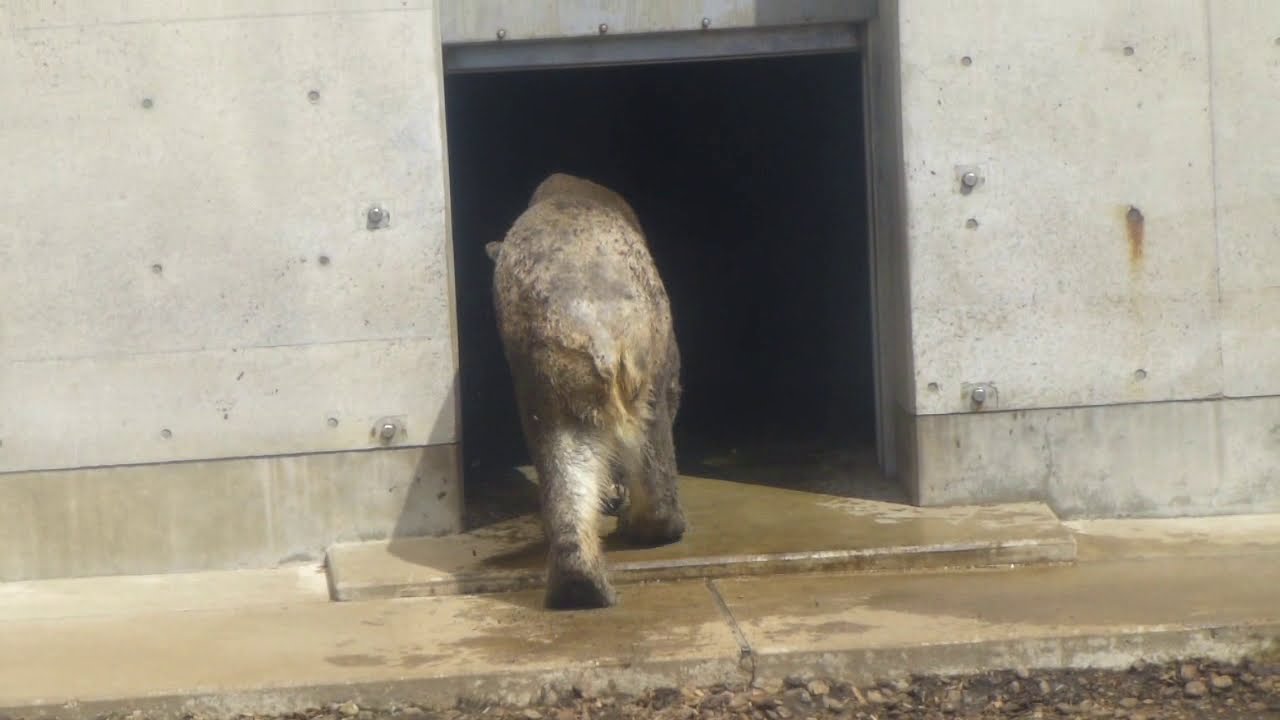逃げろー
