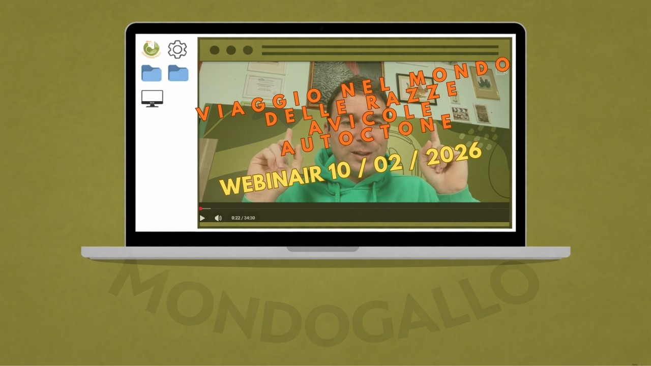 Razze Avicole Autoctone Italiane | Webinar Mondo Gallo 10/02/2026