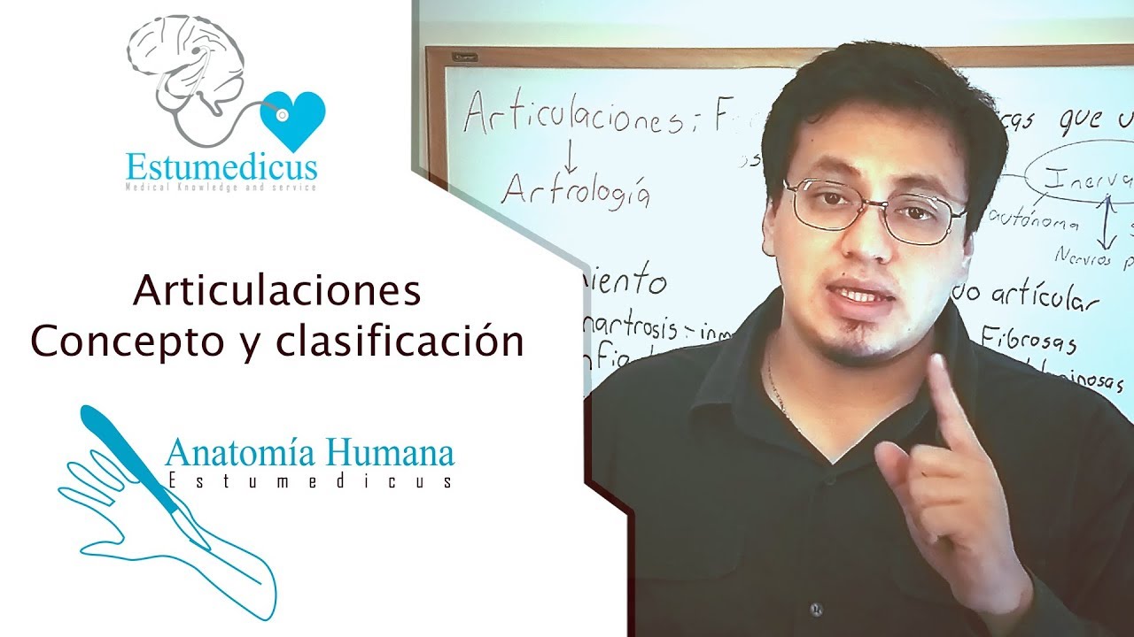Anatom&iacute;a | Articulaciones. Concepto y clasificaci&oacute;n