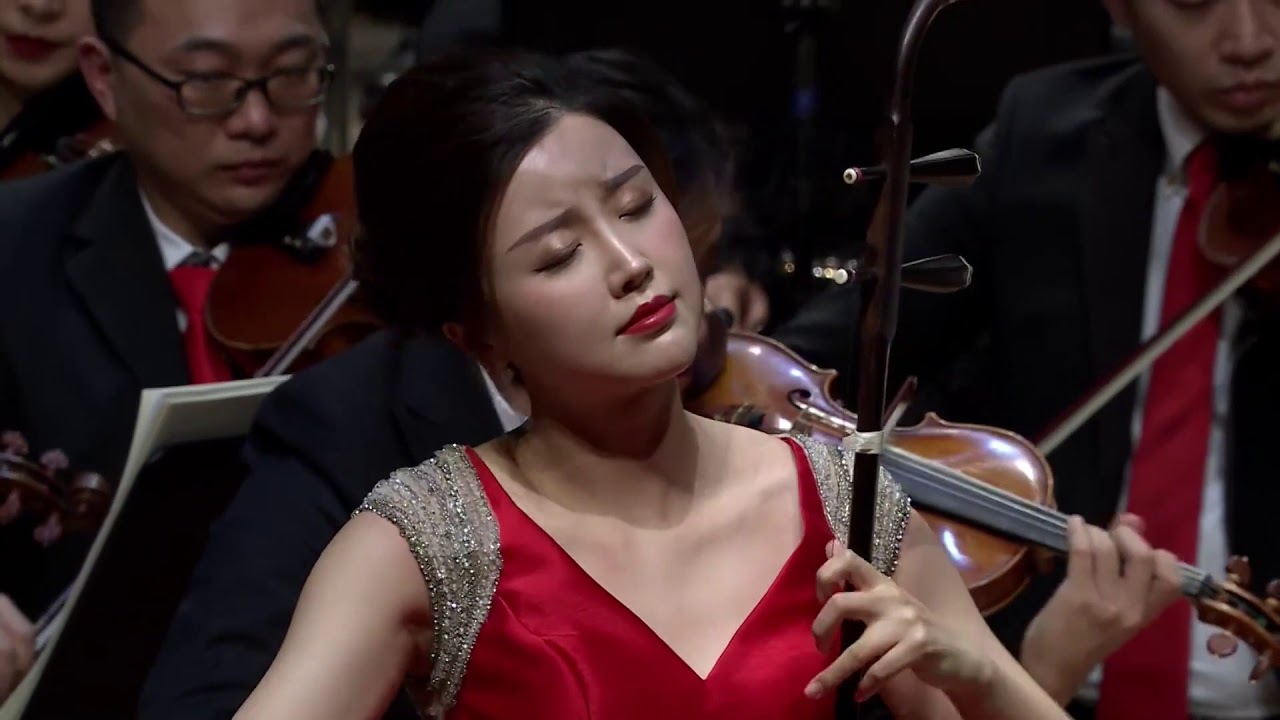 我的祖国（二胡）- 陆轶文 / My Motherland (Erhu) - Lu Yiwen