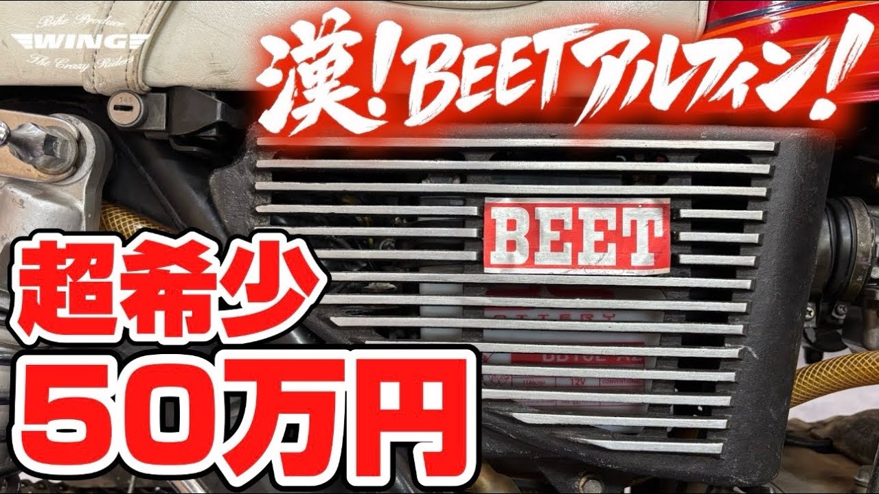 超希少！漢！BEETアルフィン！