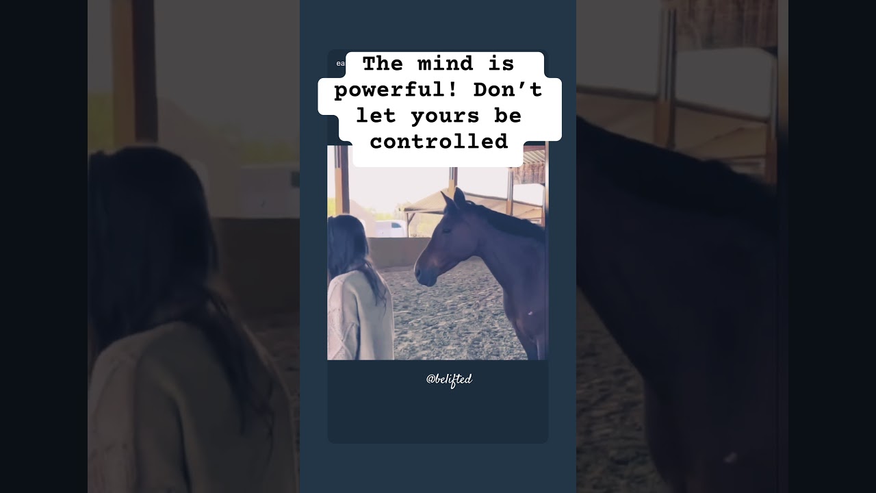 The mind #mind #mindsetiseverything