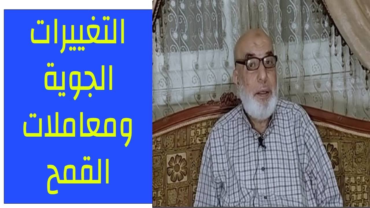 زراعة القمح | التغييرات الجوية والمعاملات في القمح | التسميد والري ومكافحة الحشائش