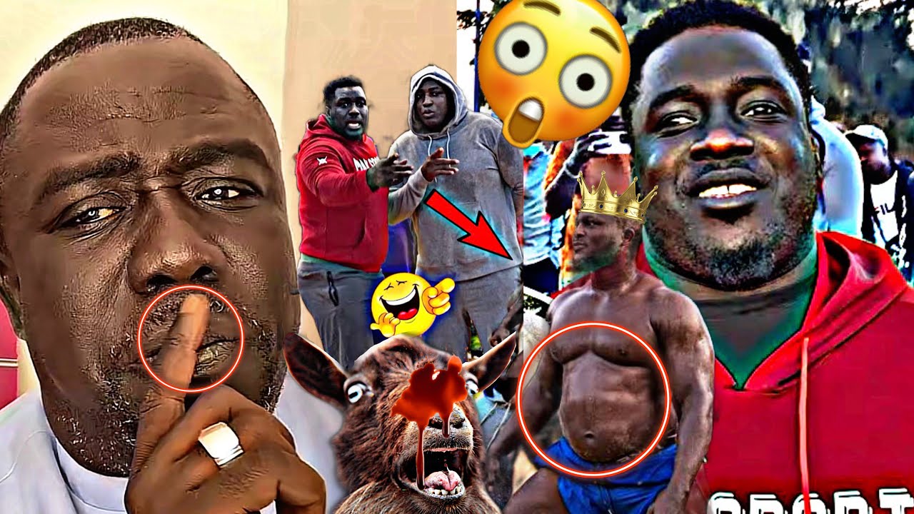 ‼️Bour Guéweul très ferme Sathies day dann Modou Lo-Dieuloul combat bi au sérieux Bilahi té boy bi 
