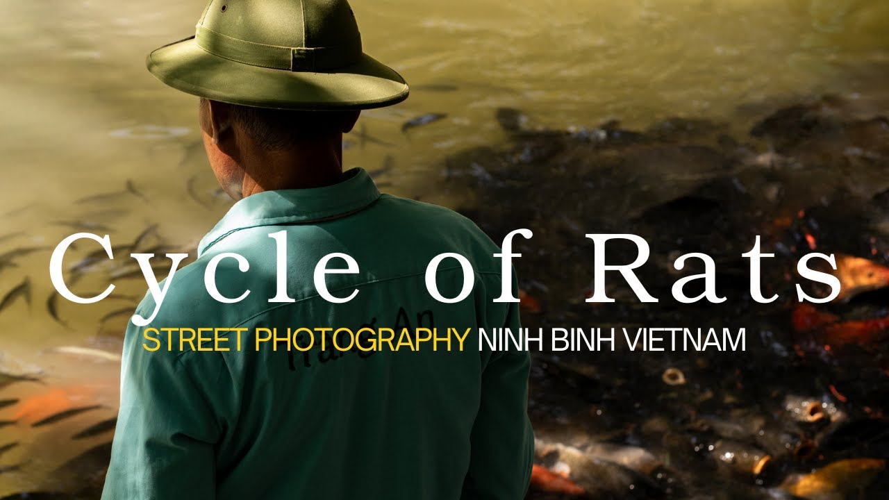 Travel Photography - Ninh Binh Vietnam