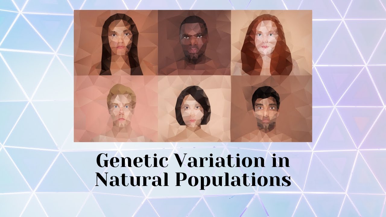 Genetic Variation in Natural Populations