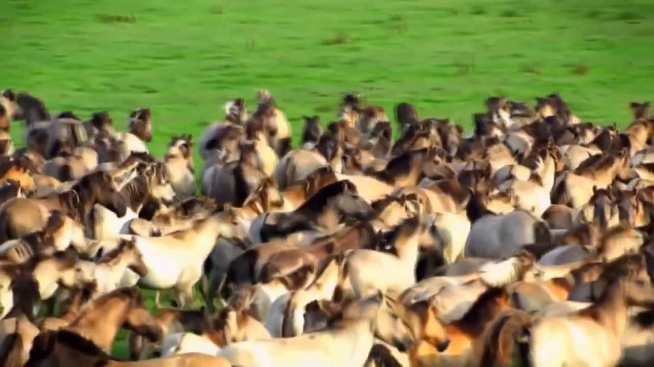 Haydi Yuvaya Demokrat Parti