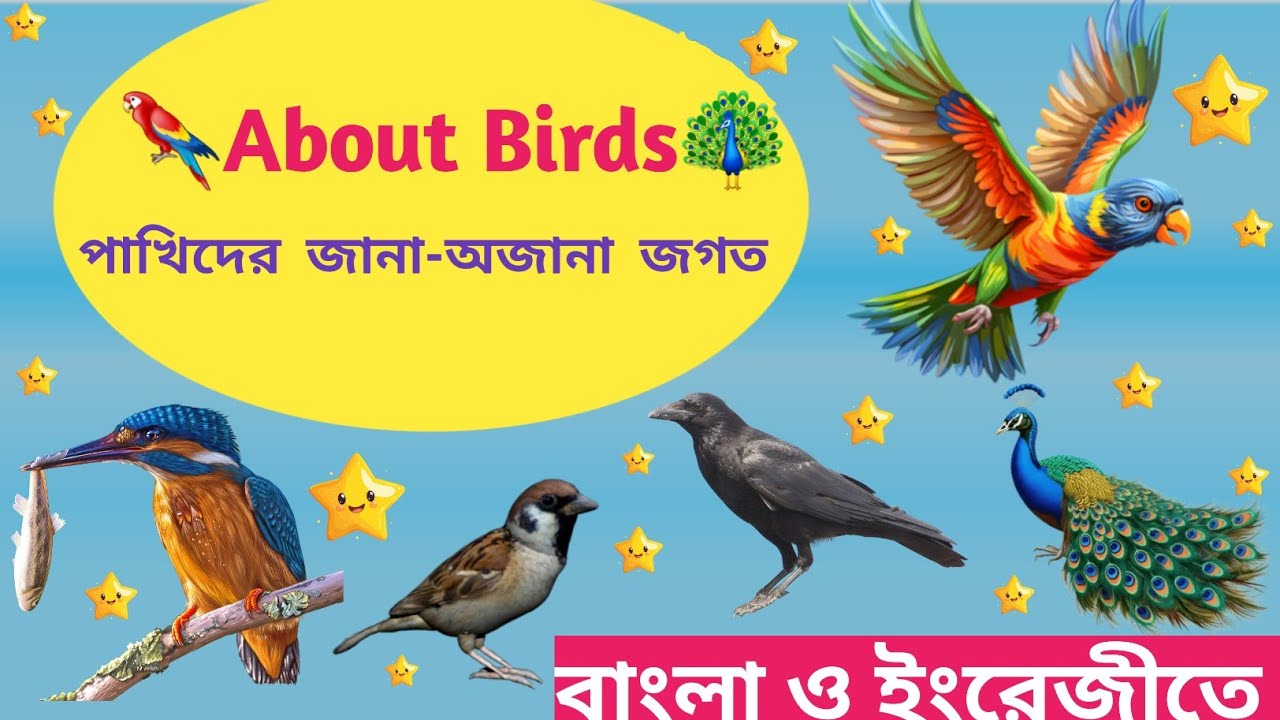 🦚​সহজে শেখো পাখিদের নাম ও তাদের গুণাগুণ 🦜| Learn Birds Name with Characteristics | DkeducationCenter