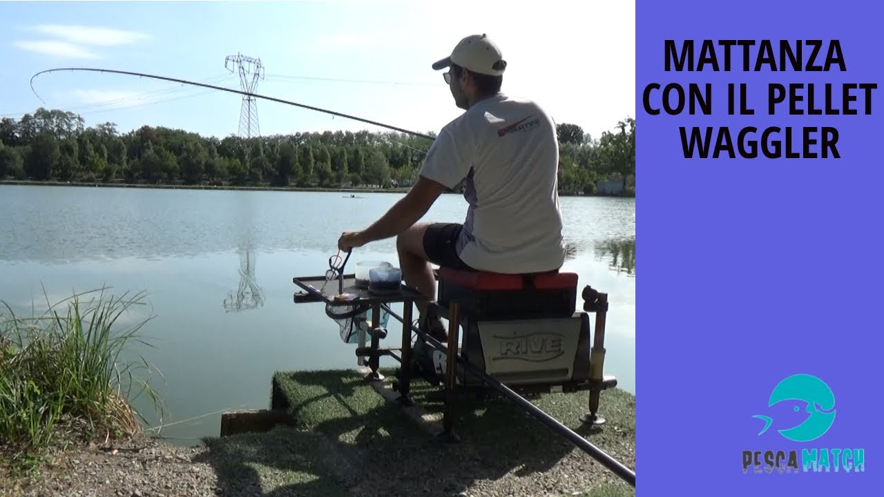 Mattanza con il PELLET WAGGLER