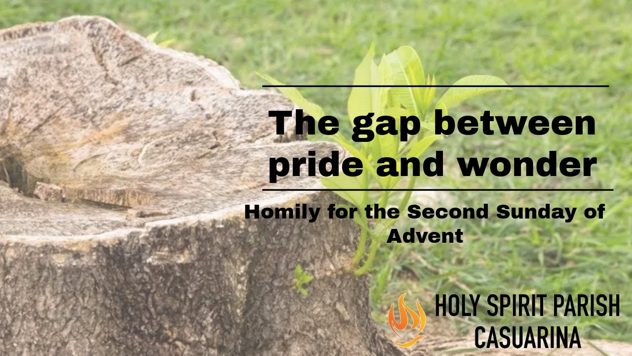 The gap between pride and wonder