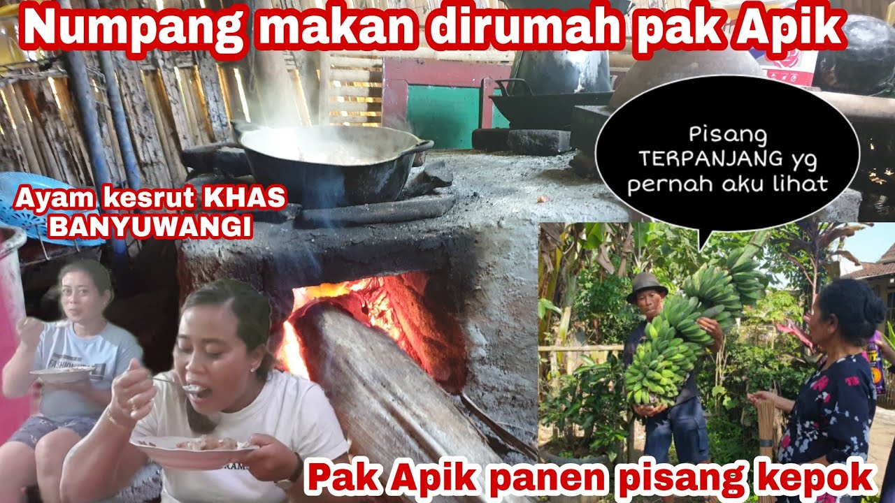 NUMPANG MAKAN DIRUMAH PAK APIK || MAK NIAH MASAK AYAM KESRUT KHAS BANYUWANGI || PANEN PISANG KEPOK