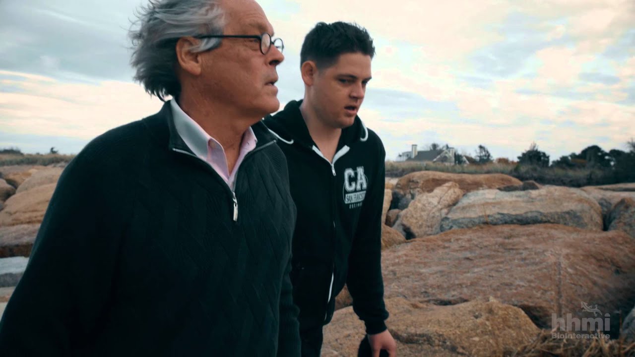 Think Like a Scientist -- Inside Alzheimer's Disease | HHMI BioInteractive Video