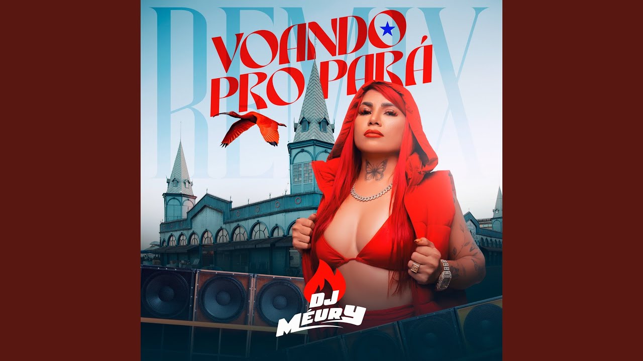Voando pro Pará (Remix)