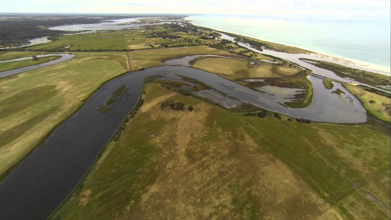 Life on the Water:  The Vasse Wonnerup Wetlands