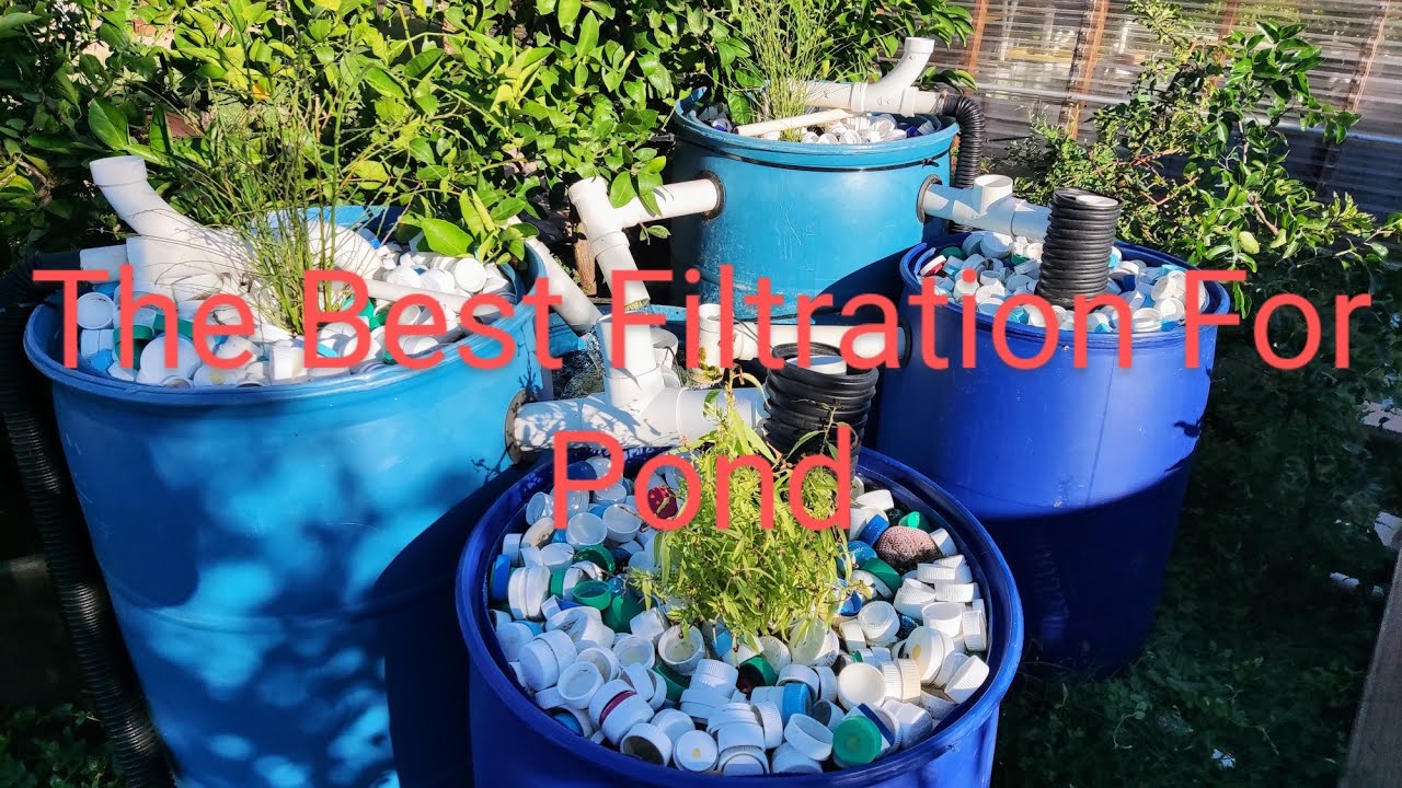 THE BEST FILTRATION FOR KOI POND