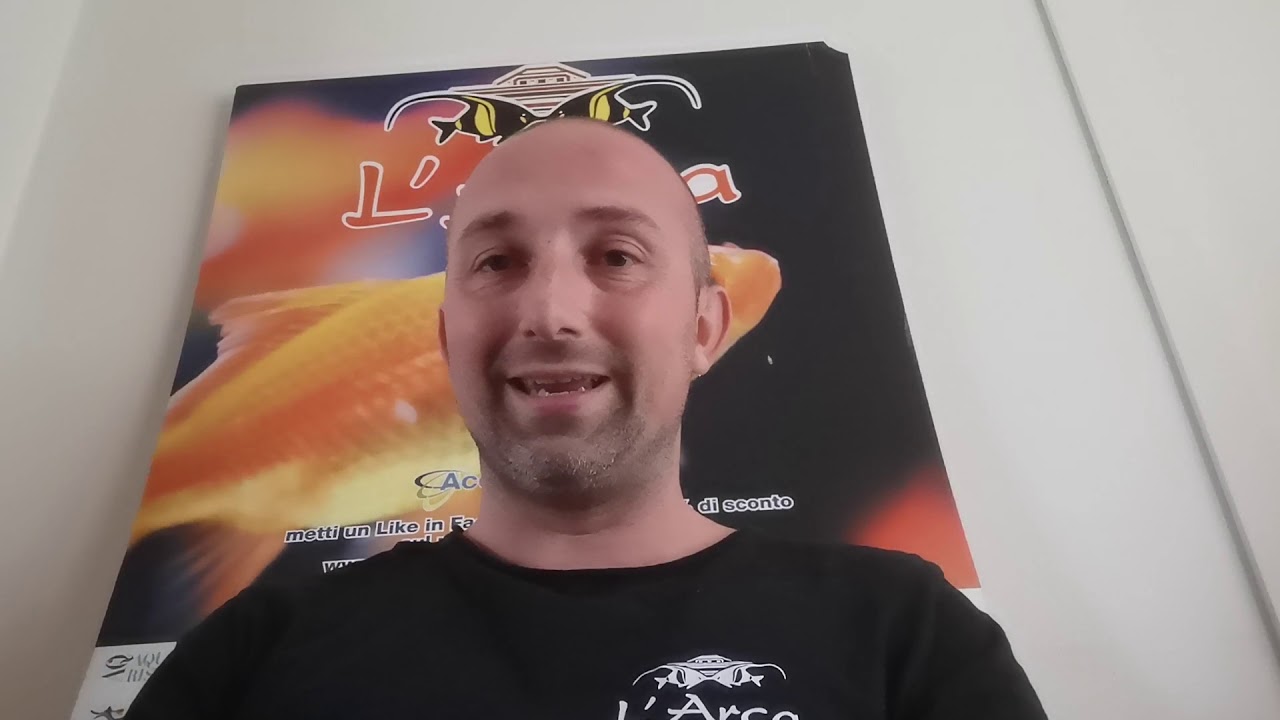 Tutorial trattamento antialghe