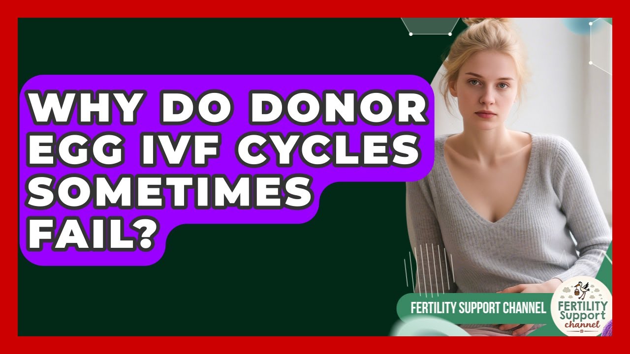 Why Do Donor Egg IVF Cycles Sometimes Fail? - Fertility Support Channel