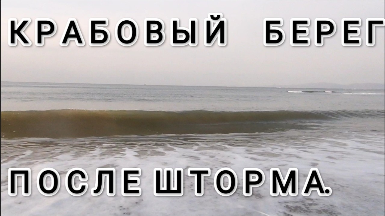 Крабовый берег после шторма. Сбор Морепродуктов.