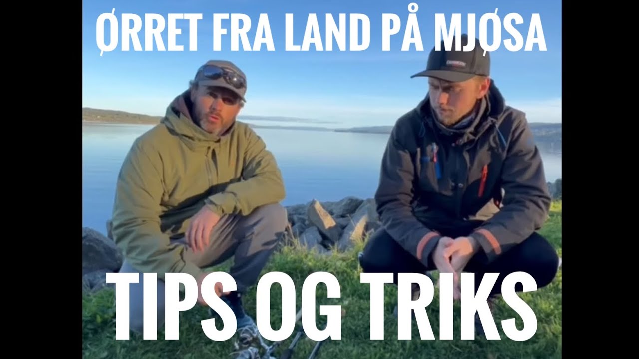 Ørret fra land på Mjøsa - Tips og triks