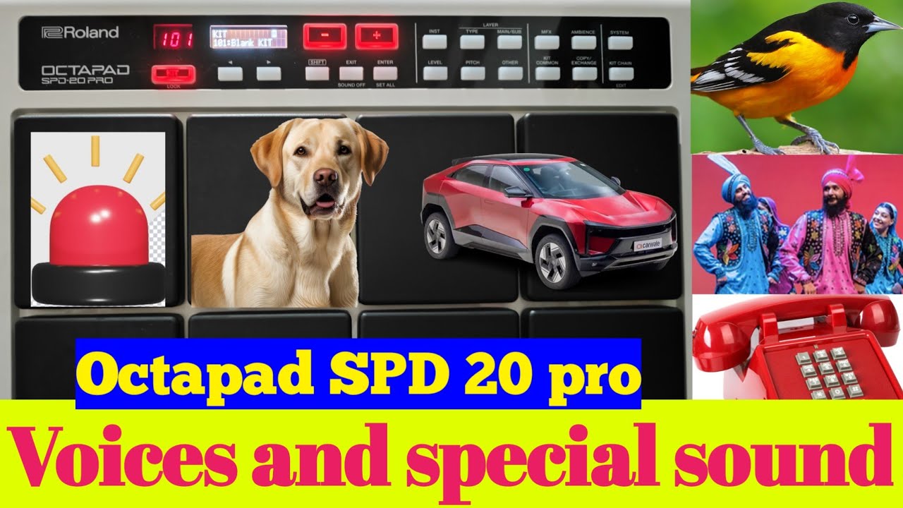 Voice and special Sound of Octapad SPD 20 pro | Animal sound in Octapad