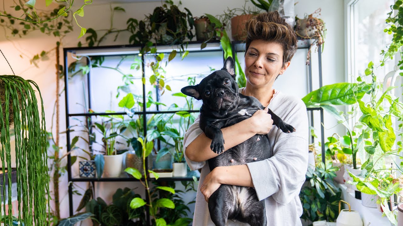 700 de plante, două animale și o familie împart același apartament | Lovedeco