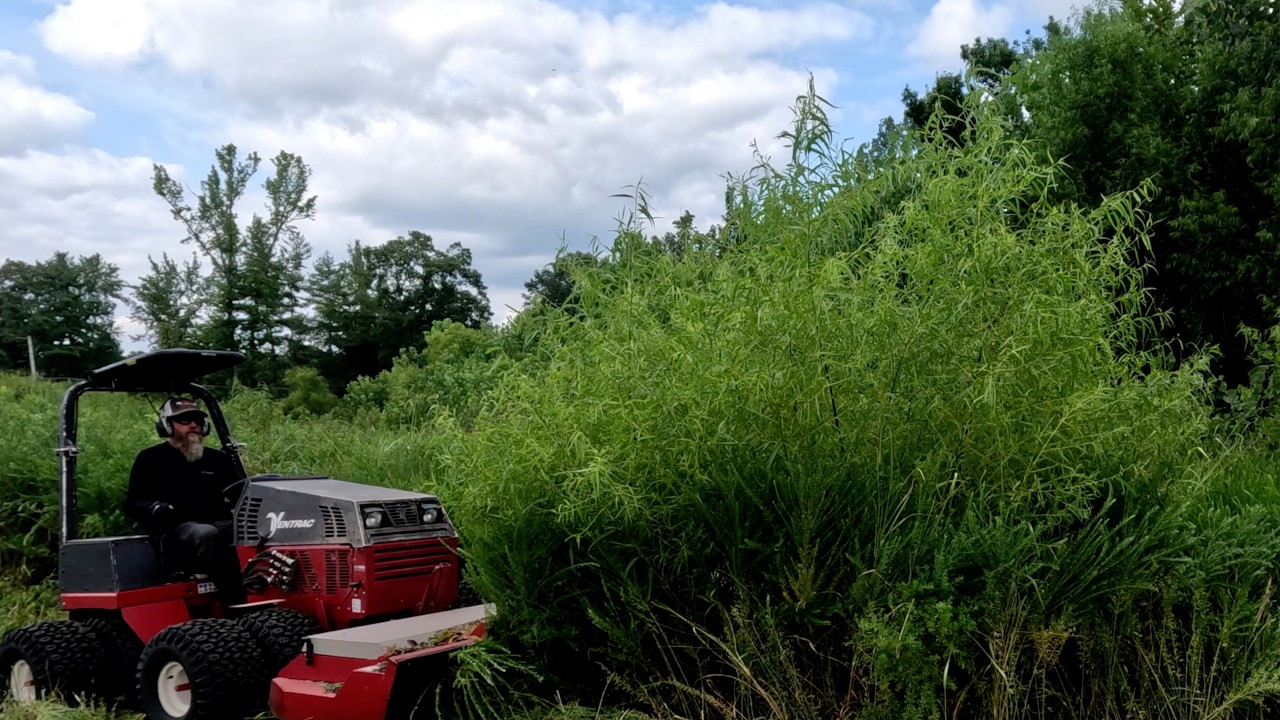 Equipment BREAKS Tackling this OVERGROWN Property, BUT It's NOT what You Think...